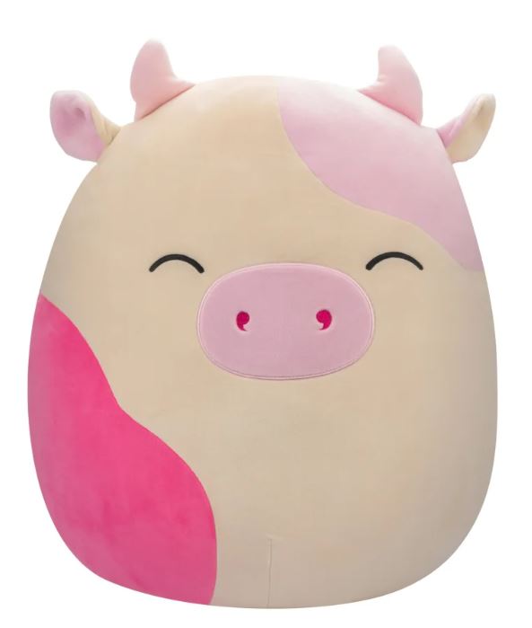 Squishmallow Patty store and Caedyn 16” Bundle